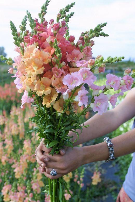 Professional floral arrangement in modern corporate setting